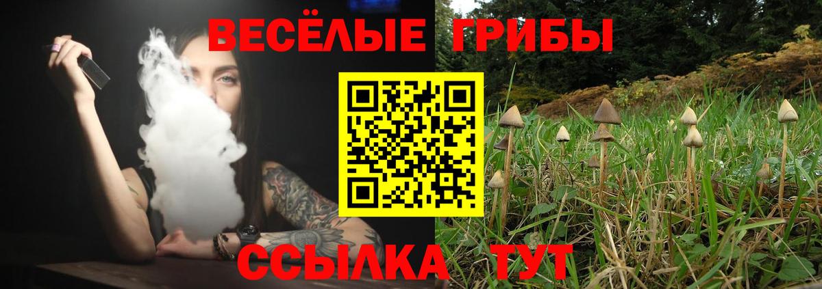 Острогожск  Галлюциногенные грибы MAGIC MUSHROOMS  Галлюциногенные грибы Magic Shrooms  Вход с VPN 